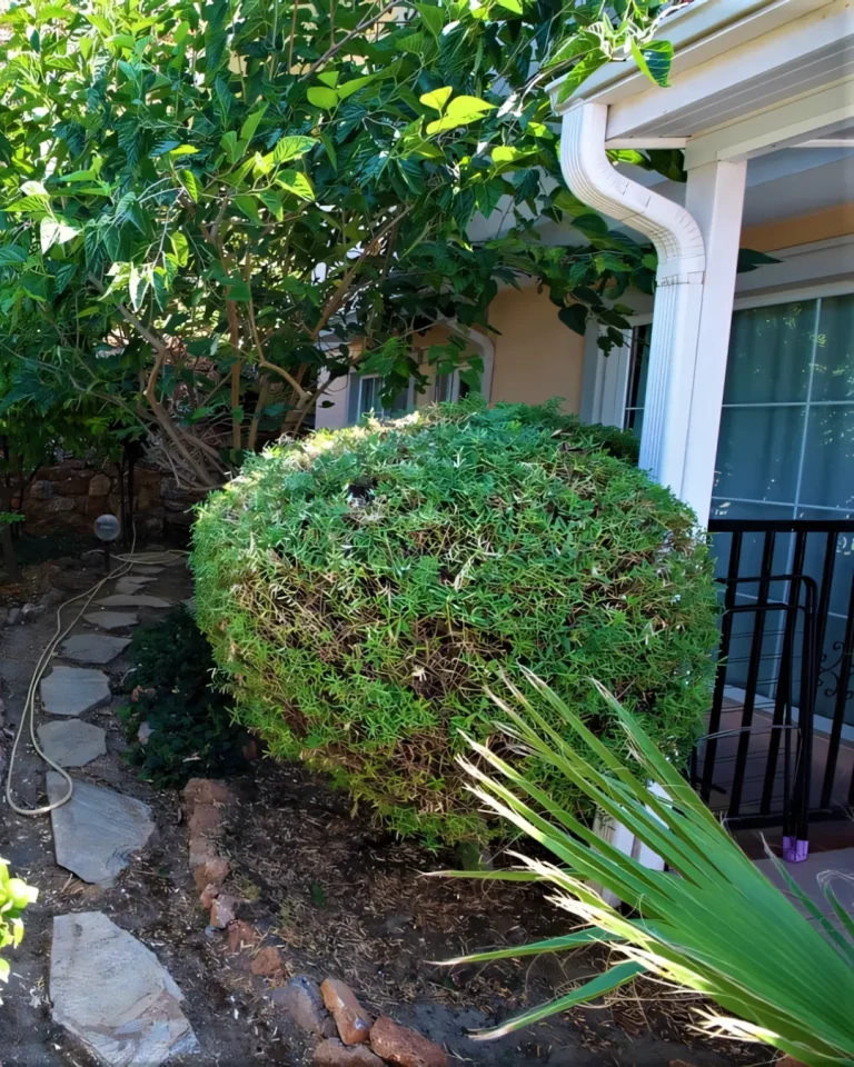 A soft glow of comfort surrounds the Furnished Sea View Villa In Alanya Mountains