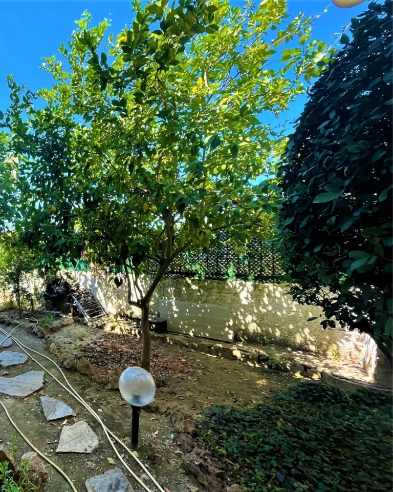 A peaceful trace of joy lingers in the Furnished Sea View Villa In Alanya Mountains